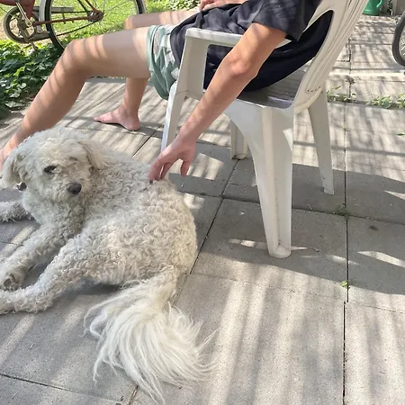 فيلة 4 Guests: River & Garden Charm بودابست